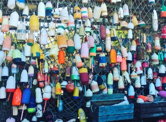 about apalachicola bottle fence